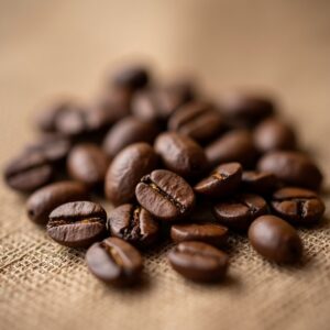 タンザニア キリマンジャロ